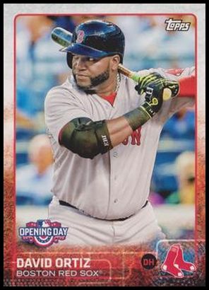 15OD 17 David Ortiz.jpg